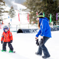 The Ultimate Guide to Family-Friendly Vacation Rentals in Buffalo, NY: A Local Expert's Perspective