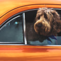 The Ultimate Guide to Traveling with Pets in Buffalo, NY